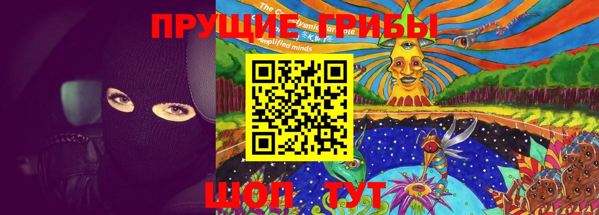 Псилоцибиновые грибы Psilocybe Фурманов